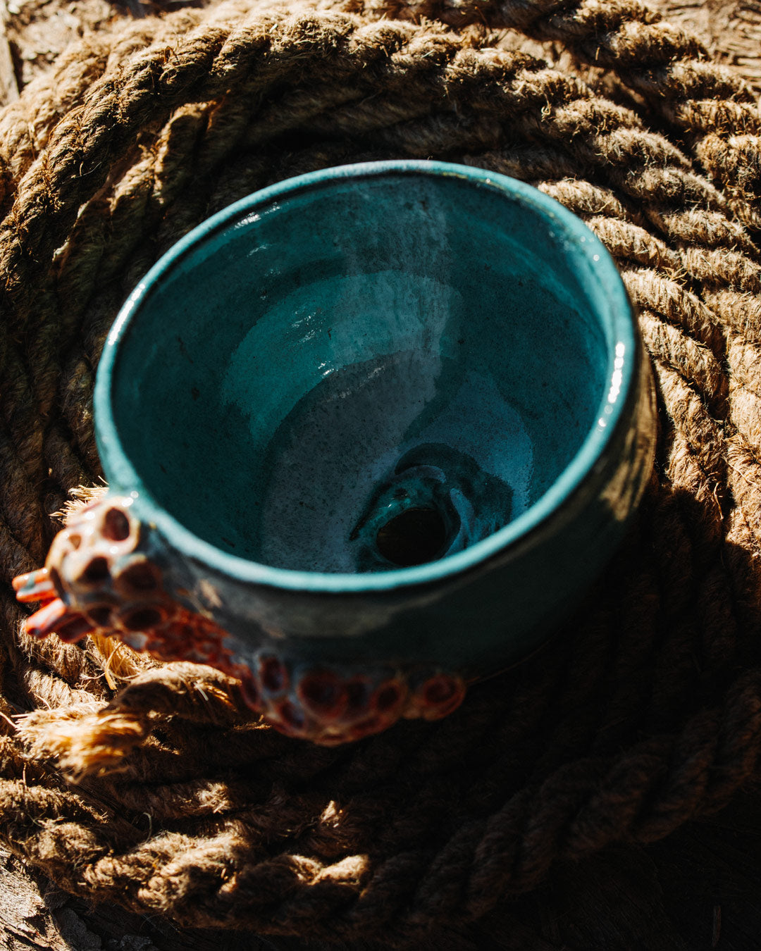 Blueberry Bailey Bowl