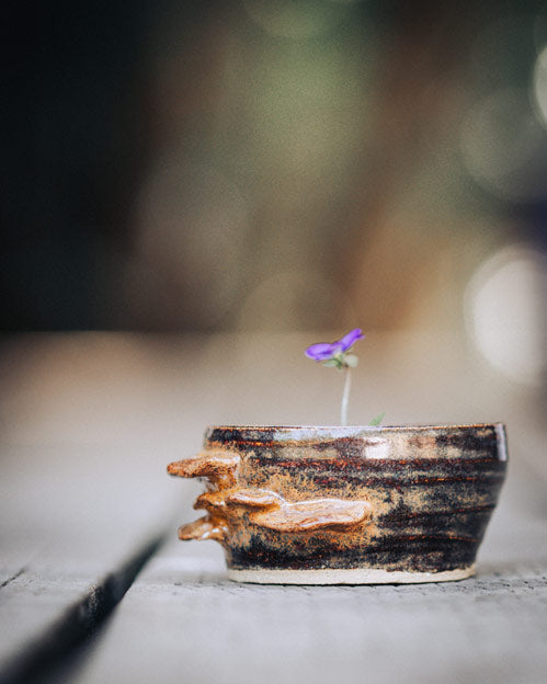 Mini Fungi Bowl