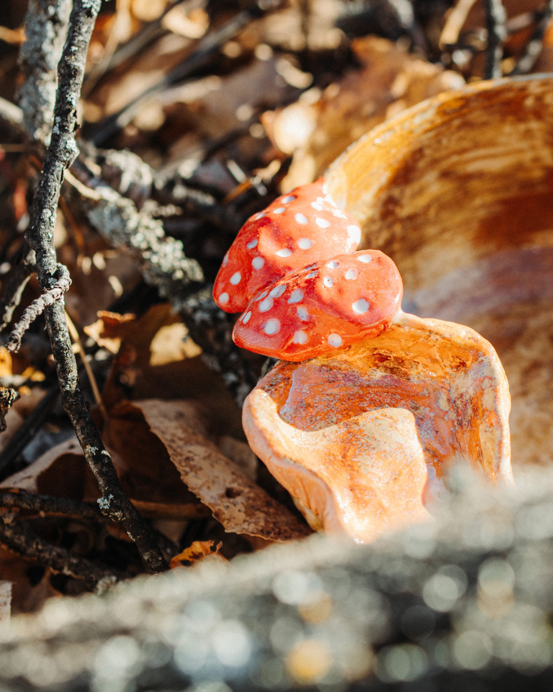 Poppin Out Like Daisies Bowl