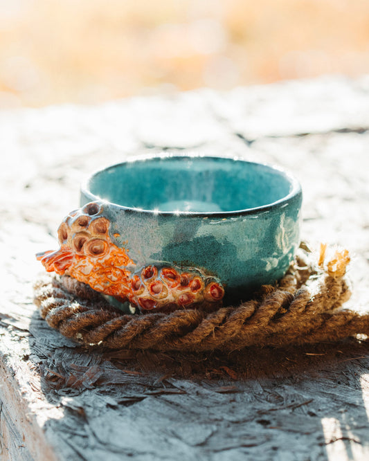 Blueberry Bailey Bowl