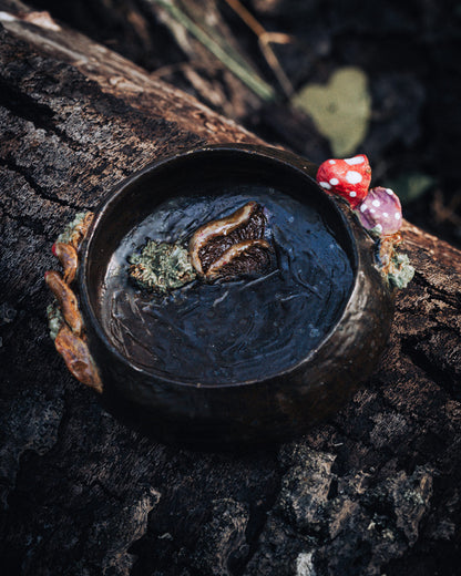 Chocolate Mushrooms Bowl