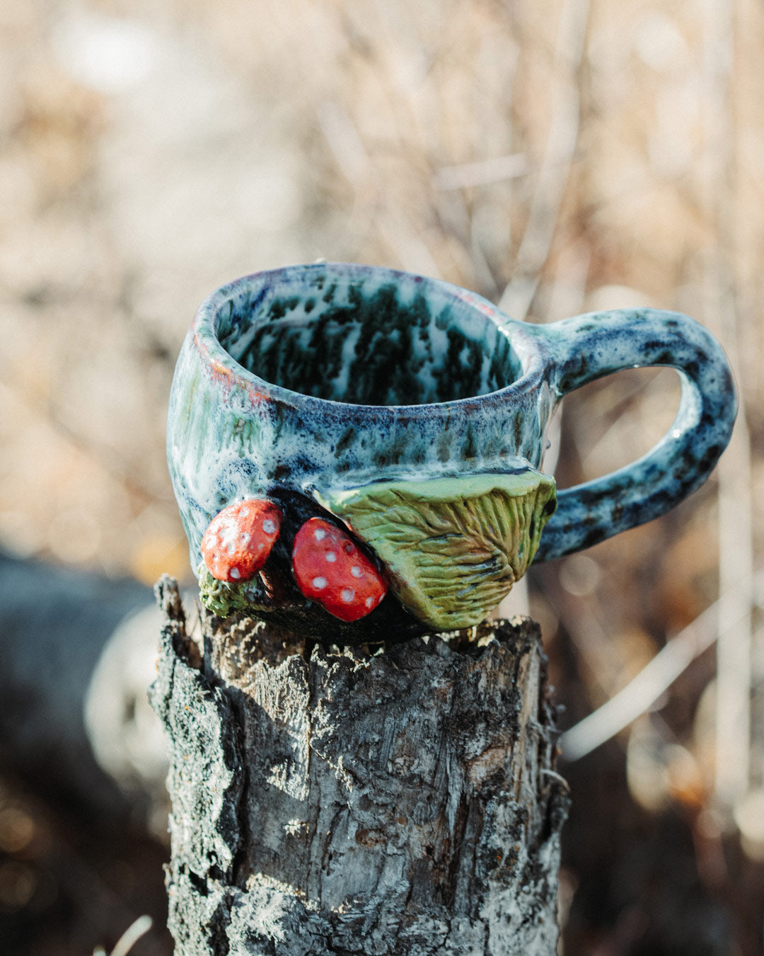 Mushroom Galaxy Mug